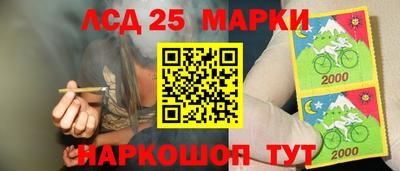 мдпв Новозыбков